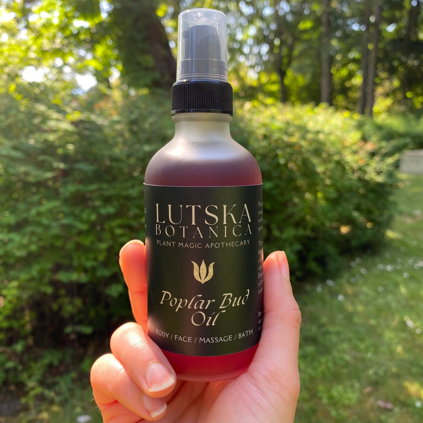 Facial Oil Infused With Poplar Buds ~ 2025 Limited Edition