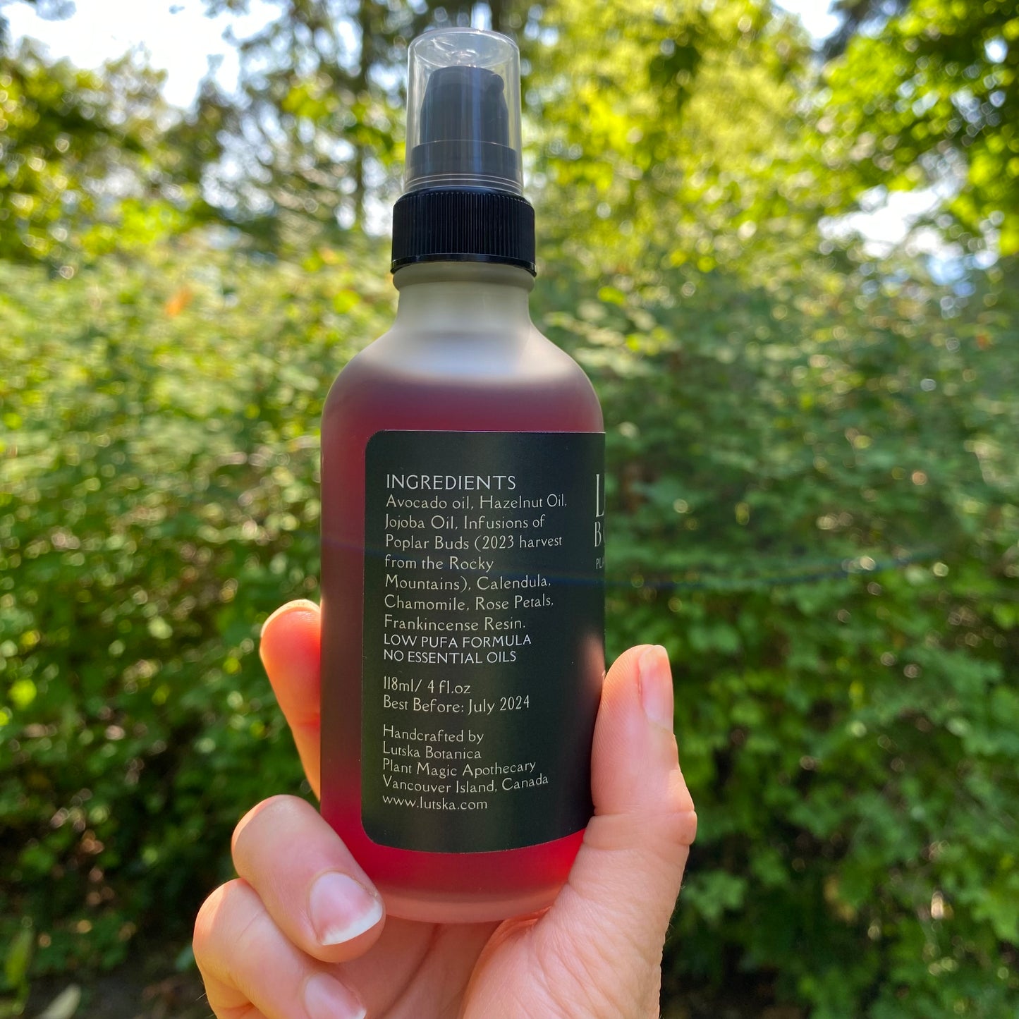 POPLAR POTION ~ Herbal Infused Body Oil with Poplar Buds ~ 2025 Limited Edition