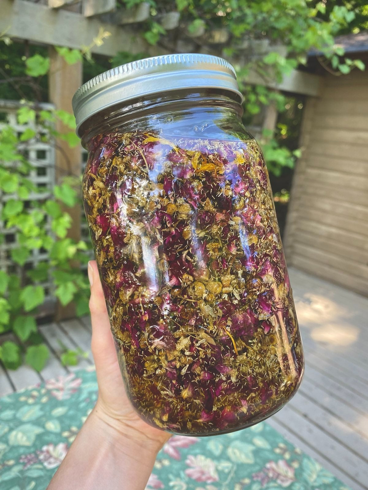 POPLAR POTION ~ Herbal Infused Body Oil with Poplar Buds ~ 2025 Limited Edition