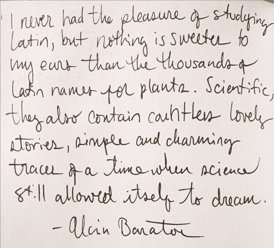 Garden Quotes