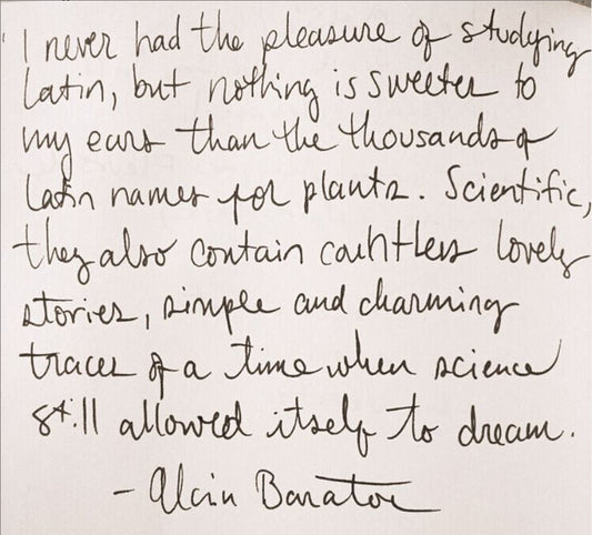 Garden Quotes