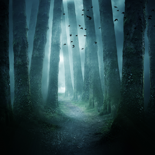 I am a forest ~ a quote by Nietzsche ~