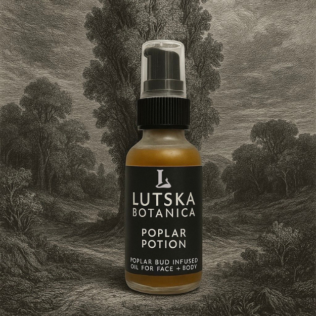 POPLAR POTION ~ Facial Oil Infused With Poplar Buds