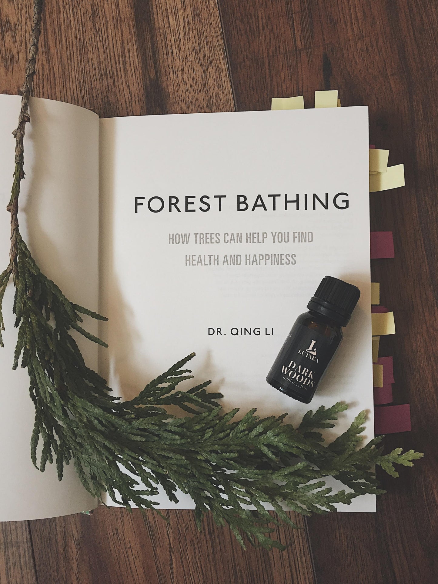 Forest aromatherapy essential oil blend. Made in Canada. 