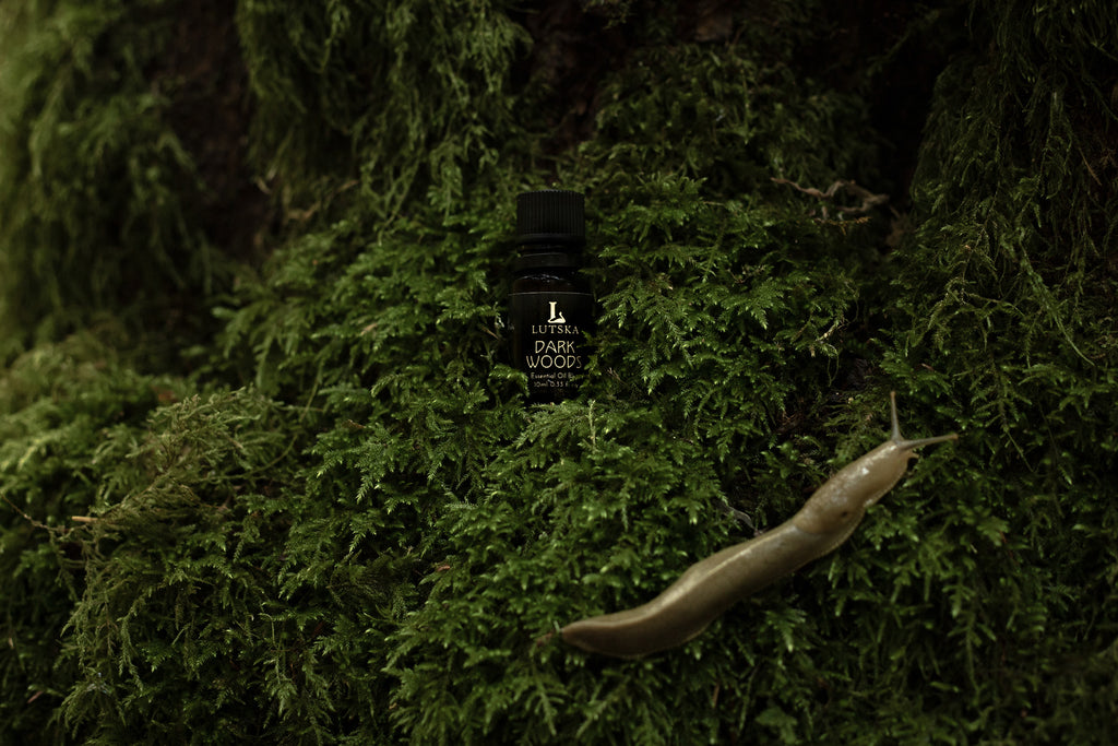DARKWOODS 🌲 Essential Oil Blend ~ Cedarwood, Fir Needle, Juniper, Sandalwood
