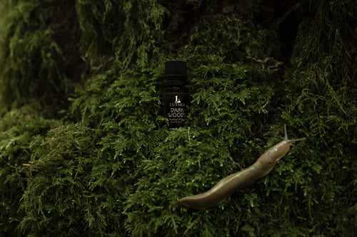 DARKWOODS 🌲 Essential Oil Blend ~ Cedarwood, Fir Needle, Juniper, Sandalwood