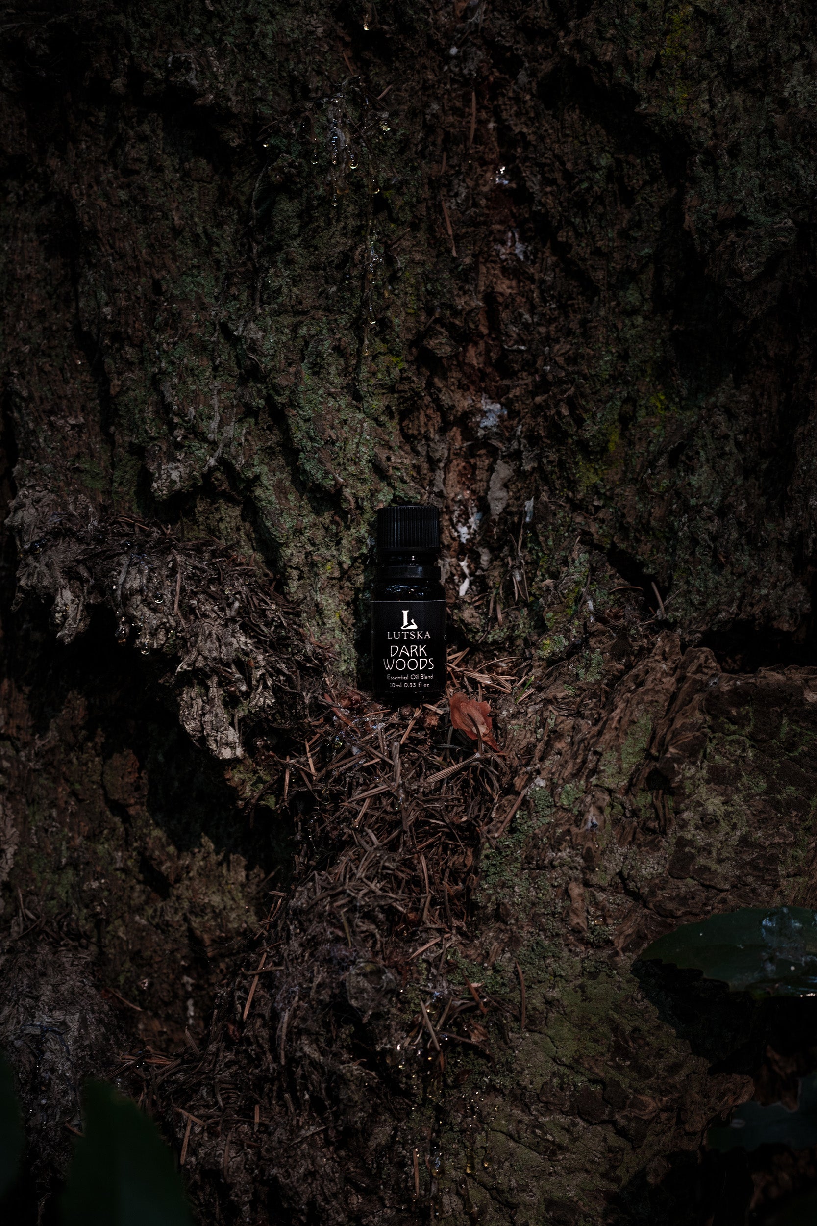 DARKWOODS 🌲 Essential Oil Blend ~ Cedarwood, Fir Needle, Juniper, Sandalwood